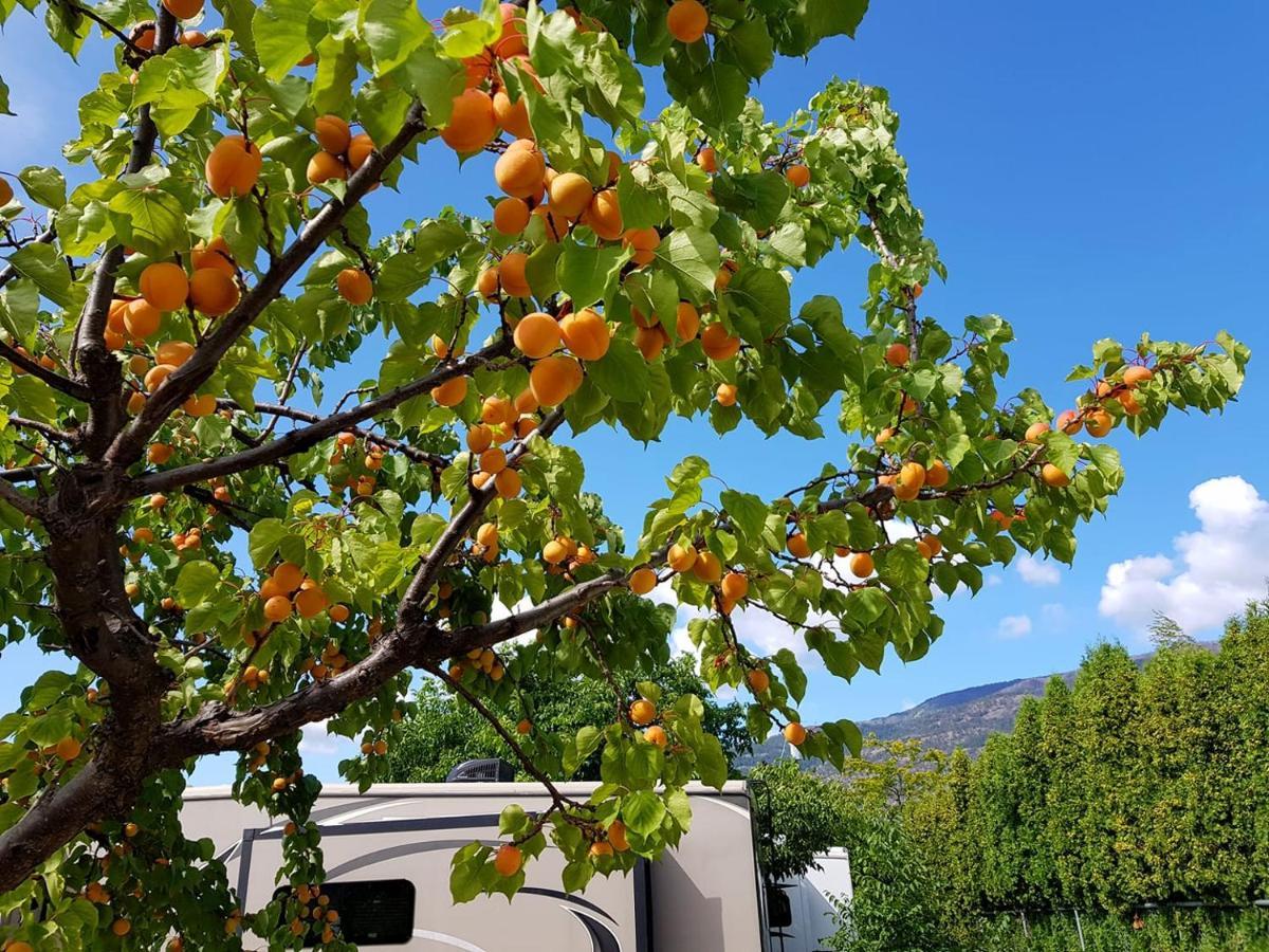 The Orchard At Oliver Hotel Exterior foto